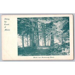 Antique Postcard Woods Near Scarborough Beach Maine 1931 #1647